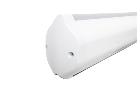image8462.png